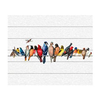Trademark Fine Art Large Bird Menagerie Ii Wood Slat Wall Art