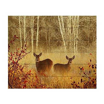 Trademark Fine Art Foggy Deer Wood Slat Wall Art