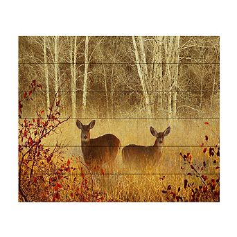 Trademark Fine Art Foggy Deer Wood Slat Wall Art