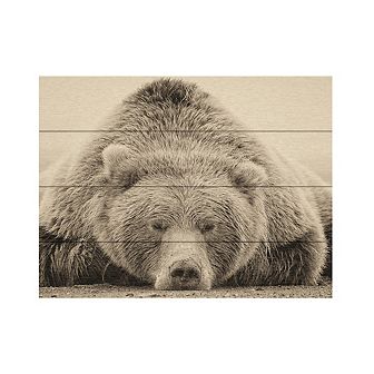 Trademark Fine Art Deep Sleep Wood Slat Wall Art