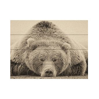 Trademark Fine Art Deep Sleep Wood Slat Wall Art