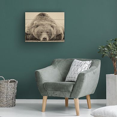 Trademark Fine Art Deep Sleep Wood Slat Wall Art