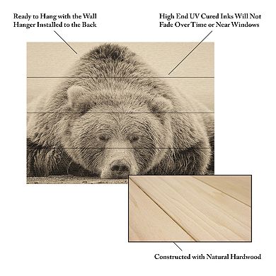 Trademark Fine Art Deep Sleep Wood Slat Wall Art