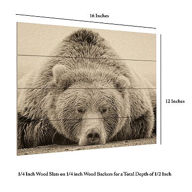 Trademark Fine Art Deep Sleep Wood Slat Wall Art