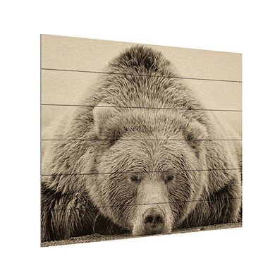 Trademark Fine Art Deep Sleep Wood Slat Wall Art