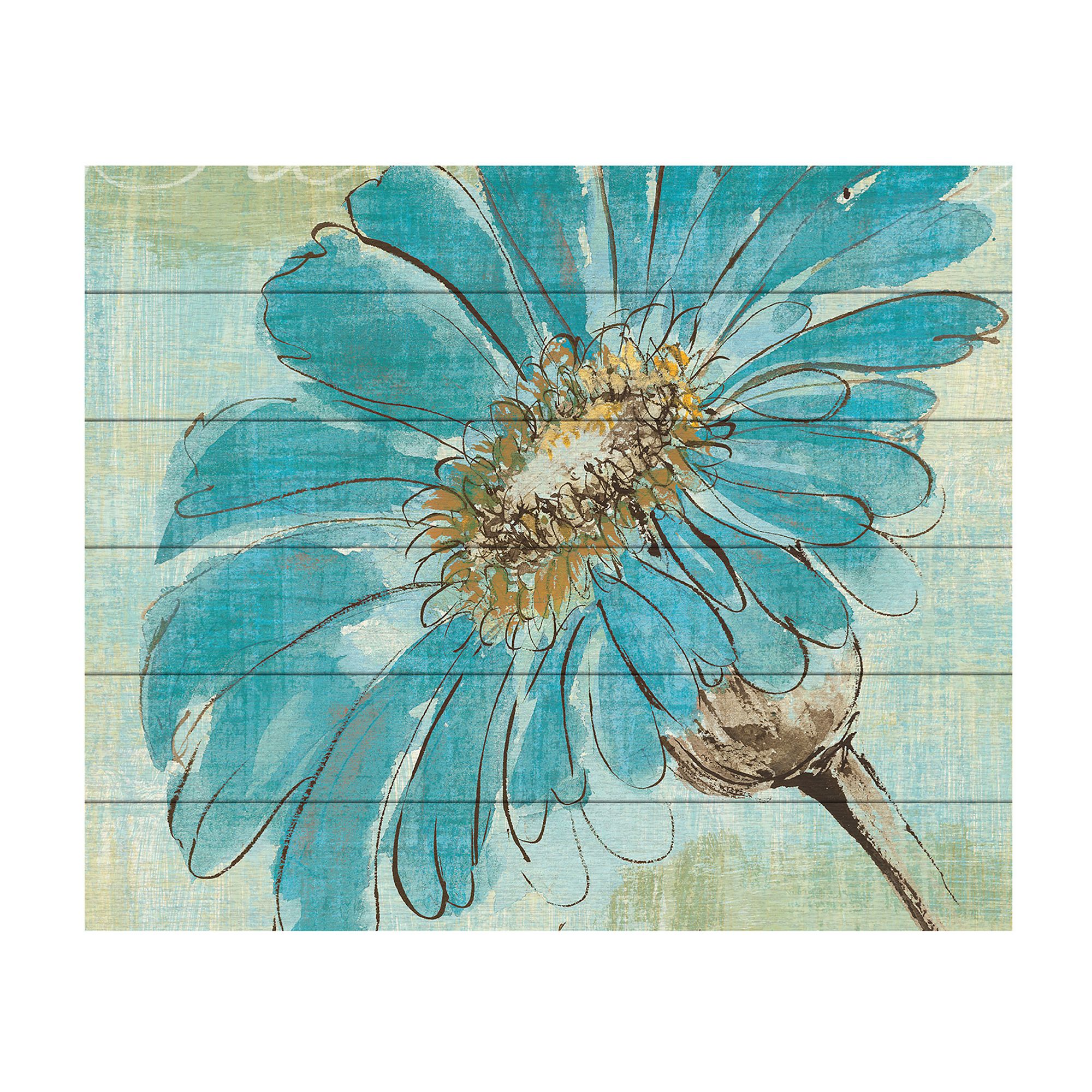 Trademark Fine Art Spa Daisies II Wood Slat Wall Art, Multi