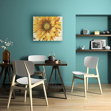 Trademark Fine Art Under the Sun I Wood Slat Wall Art