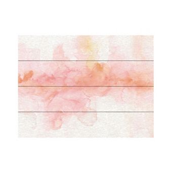 Trademark Fine Art Rainbow Seeds Abstract Wood Slat Wall Art