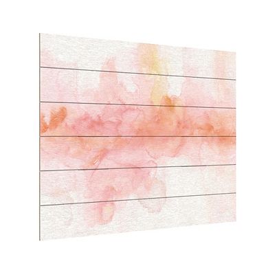 Trademark Fine Art Rainbow Seeds Abstract Wood Slat Wall Art