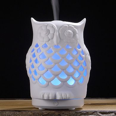 Aroma2Go LED Ceramic Owl Essential Oils Diffuser