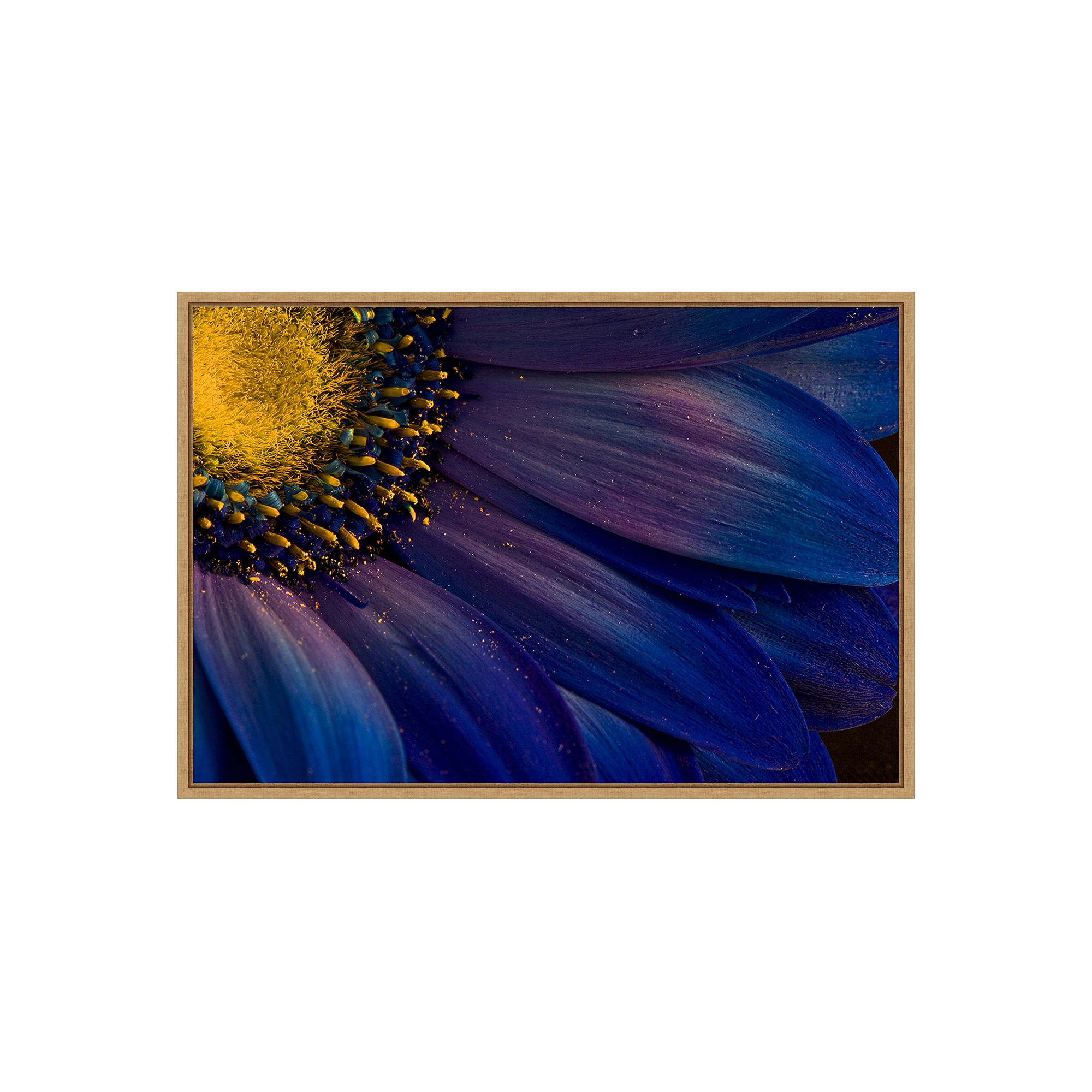 Amanti Art Blue Rays Wall Art, Brown