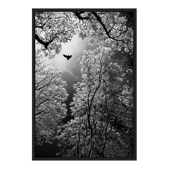 Amanti Art "Flight" Framed Canvas Print