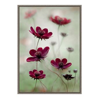 Amanti Art "Cosmos Sway" Framed Canvas Print