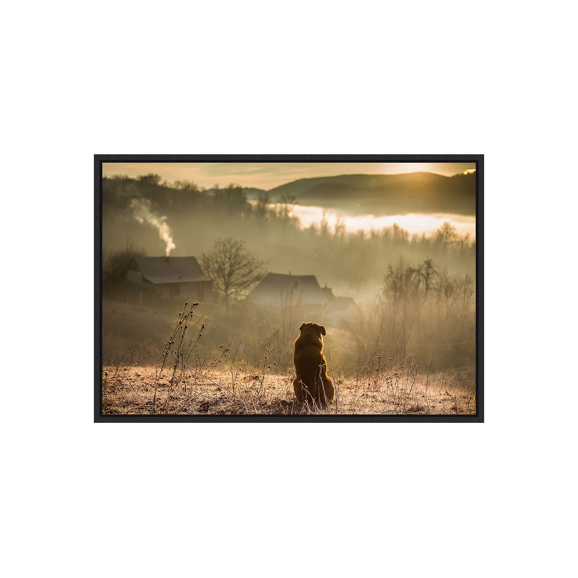 Amanti Art Good Connection Framed Canvas Print, Black