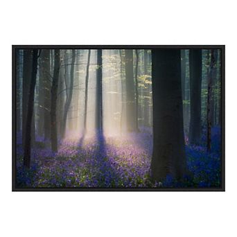 Amanti Art "Velvet Light" Framed Canvas Print