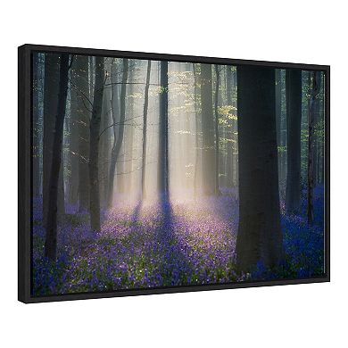 Amanti Art "Velvet Light" Framed Canvas Print