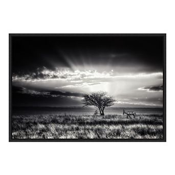 Amanti Art "Sunrise with Hartebeest" Framed Canvas Print