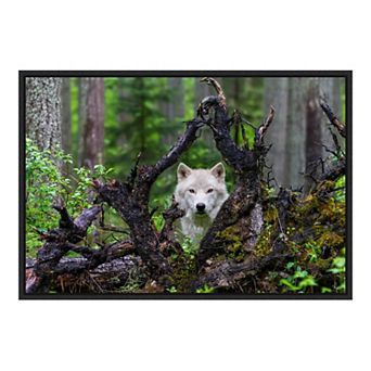 Amanti Art "Wolf" Framed Canvas Print