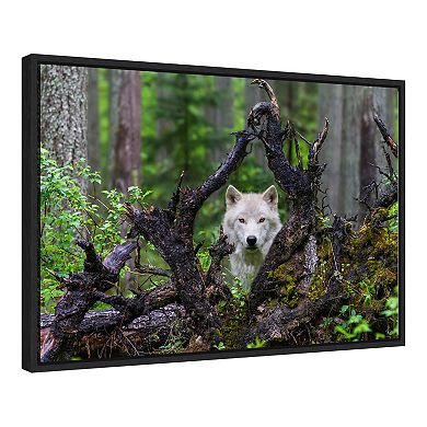 Amanti Art "Wolf" Framed Canvas Print