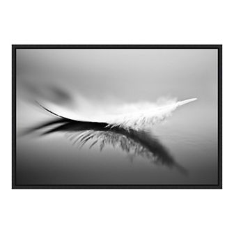 Amanti Art White Feather Wall Art