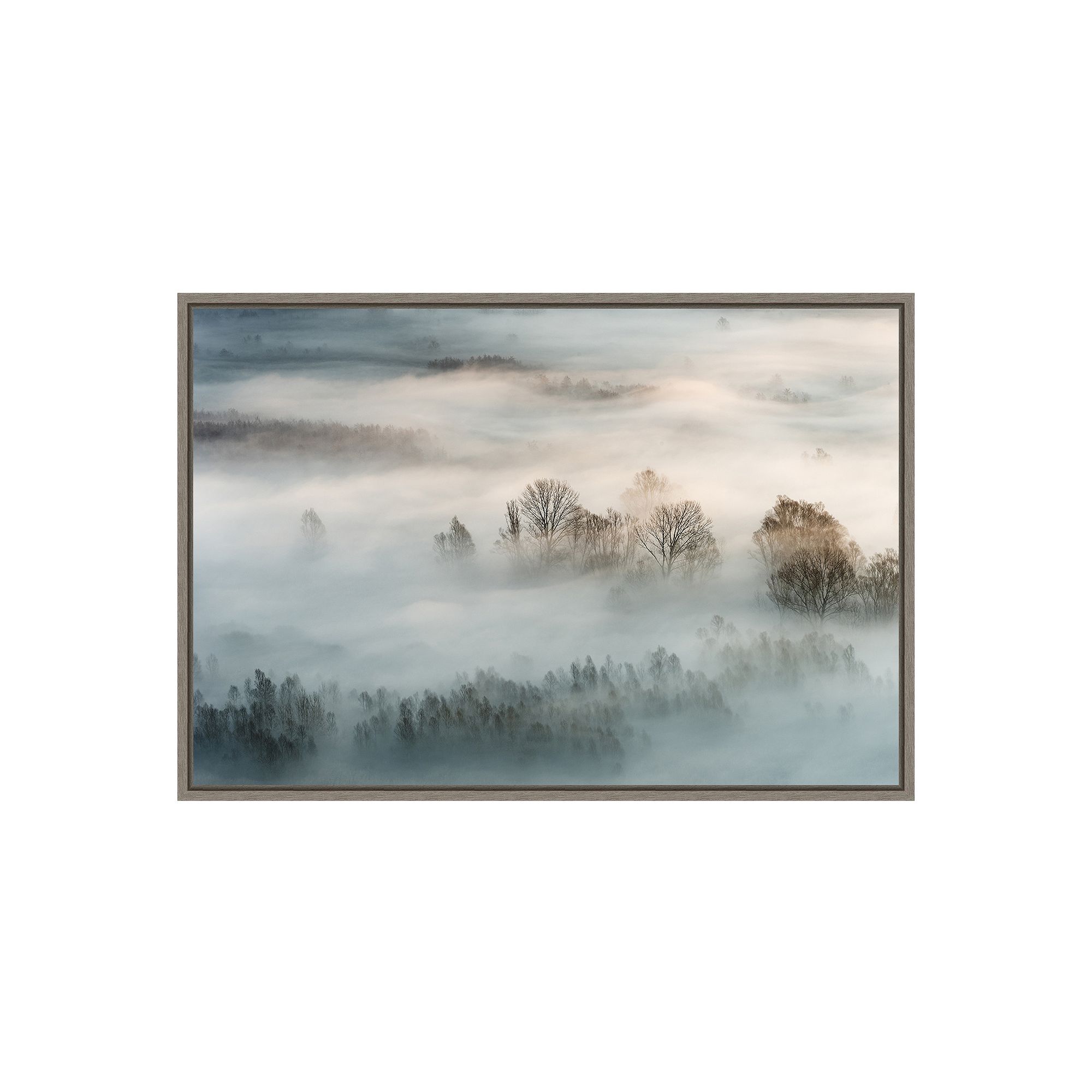 Amanti Art Winter Fog Wall Art, Gray