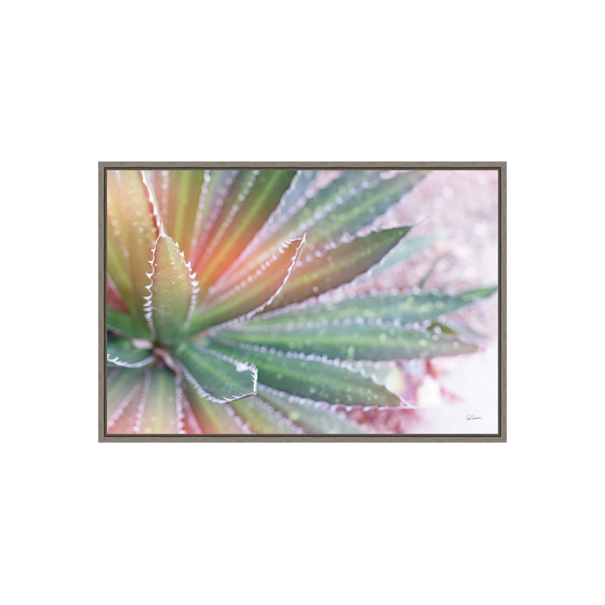 Amanti Art Dream Desert I Wall Art, Gray