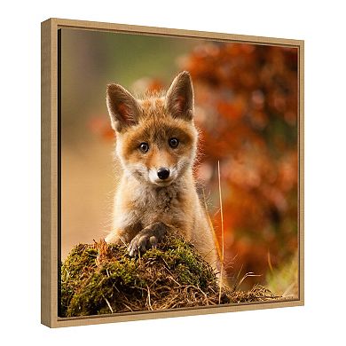 Amanti Art "Fox" Framed Canvas Print
