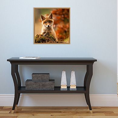 Amanti Art "Fox" Framed Canvas Print