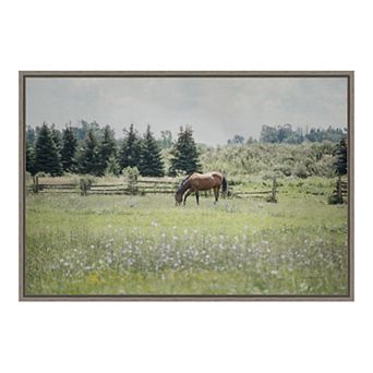 Amanti Art "Sun Drenched II (Horse)" Framed Canvas Print