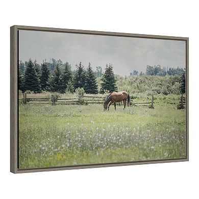 Amanti Art "Sun Drenched II (Horse)" Framed Canvas Print