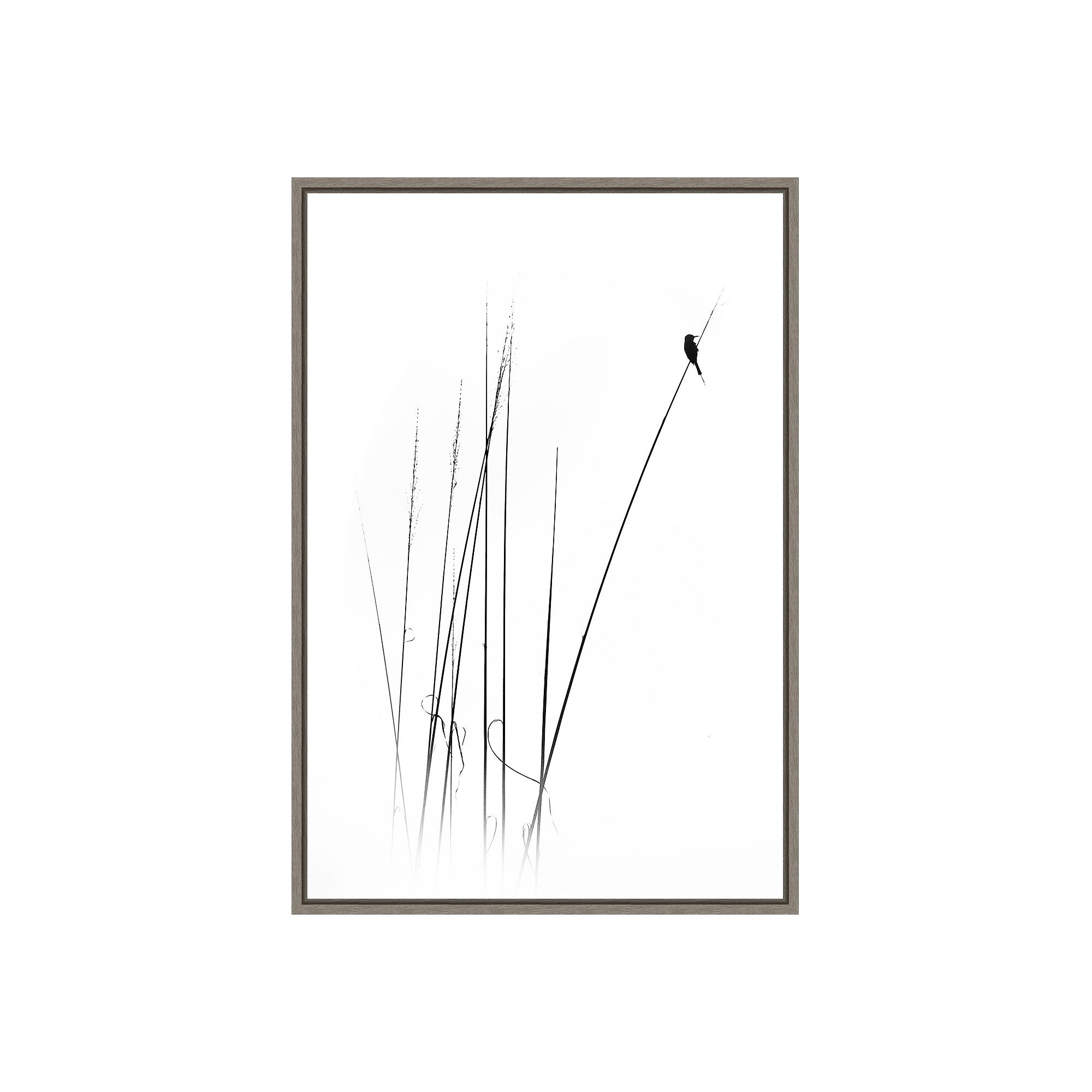 Amanti Art a sabbatical Framed Canvas Print, Gray