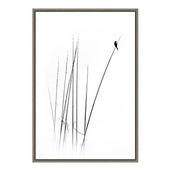 Amanti Art "a sabbatical" Framed Canvas Print