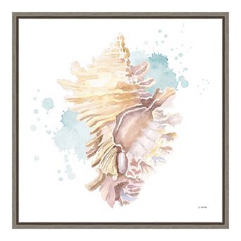 Amanti Art "Salento Coast IV (Seashell)" Framed Canvas Print
