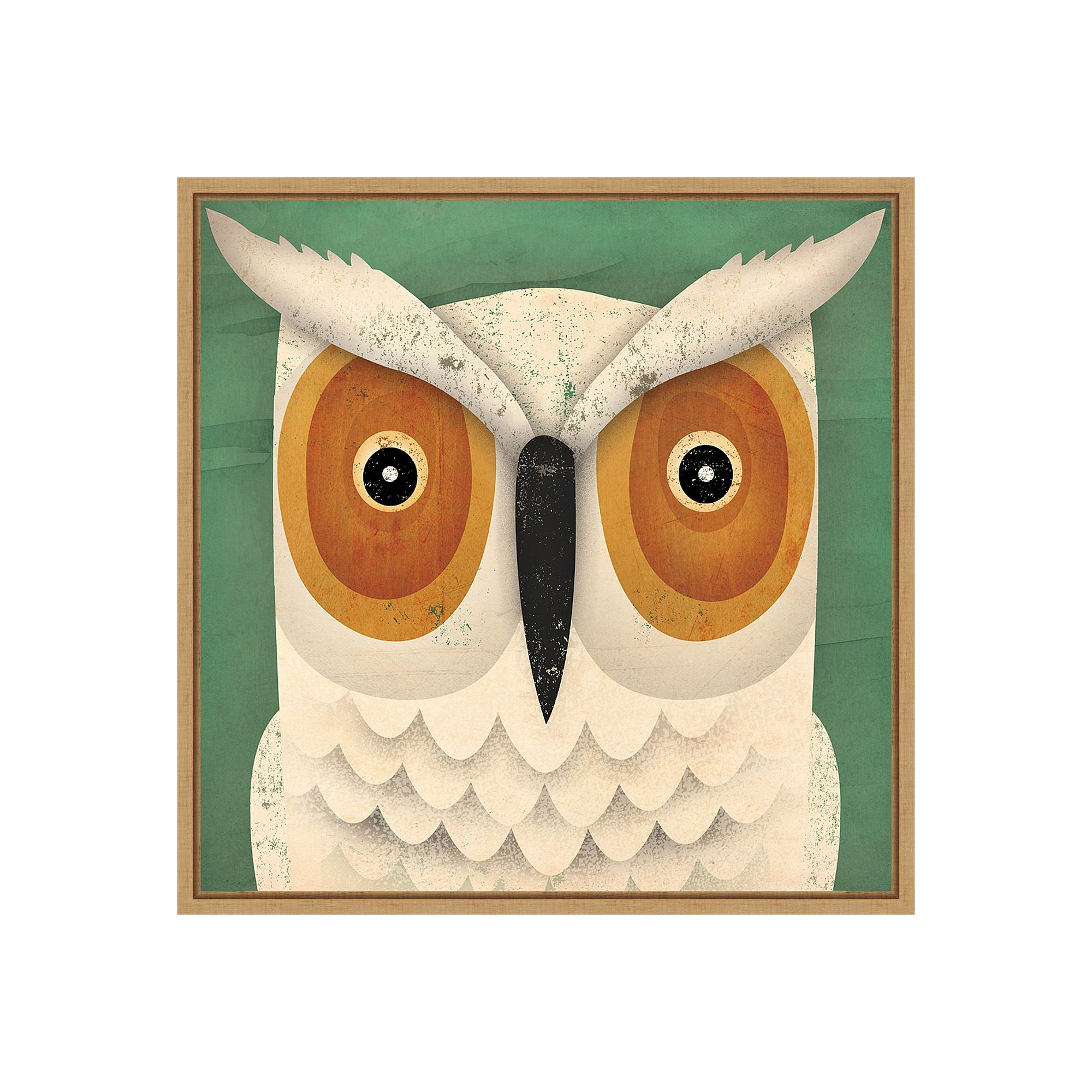 Amanti Art White Owl Framed Canvas Print, Brown