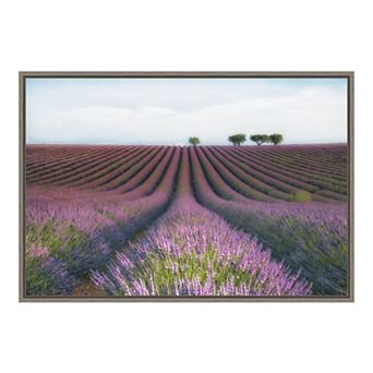 Amanti Art "Velours de Lavender" Framed Canvas Print