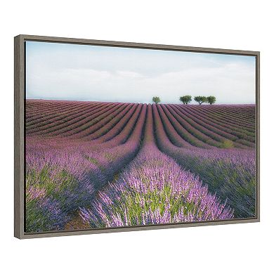 Amanti Art "Velours de Lavender" Framed Canvas Print