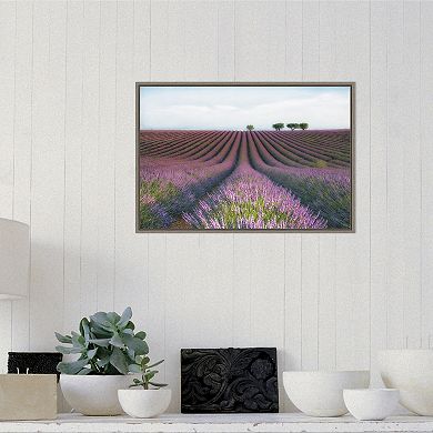 Amanti Art "Velours de Lavender" Framed Canvas Print