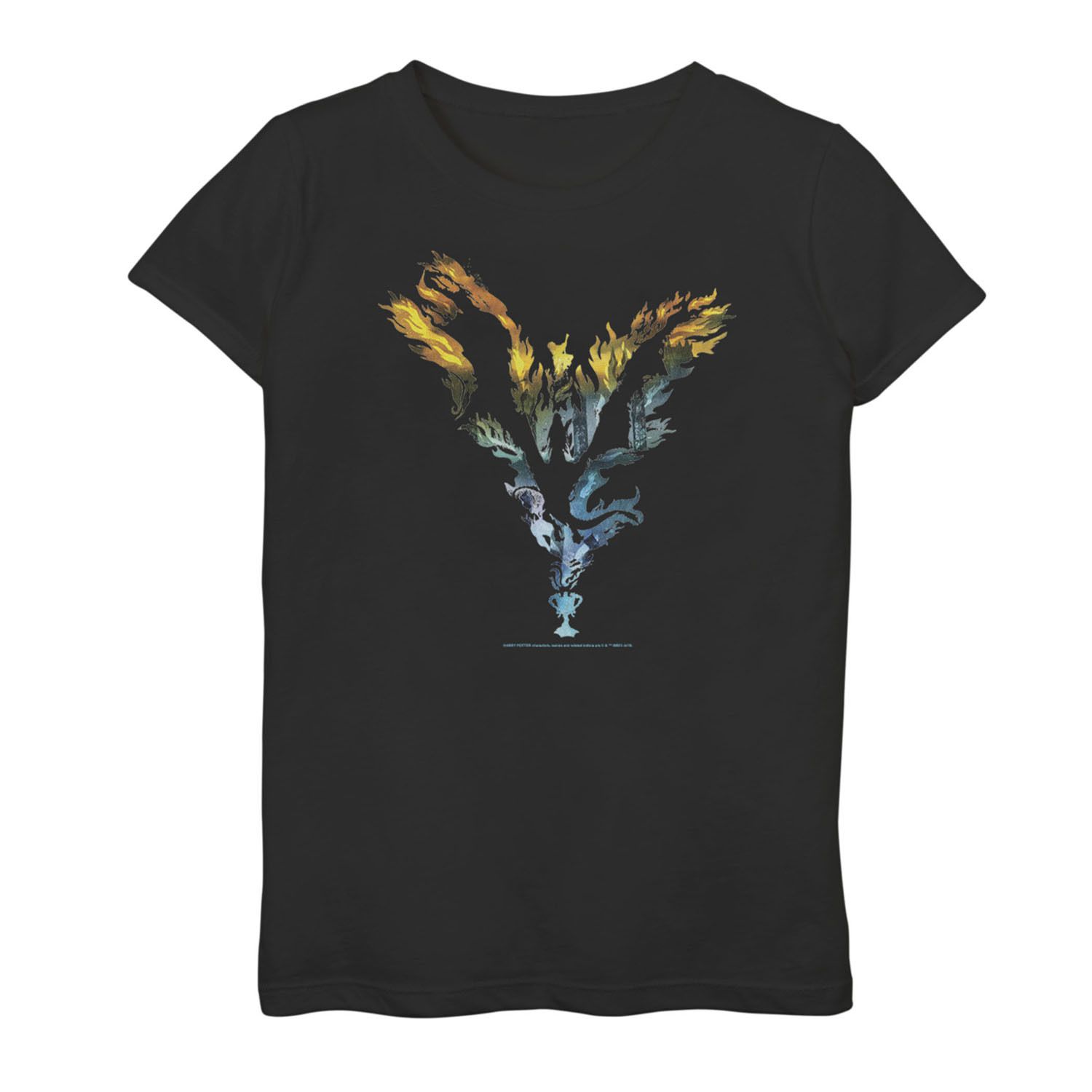 Image for Harry Potter Girls 7-16 Dragon Flame Silhouette Tee at Kohl's.