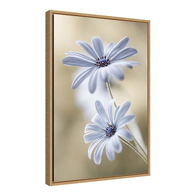 Amanti Art Cape Daisies Wall Art