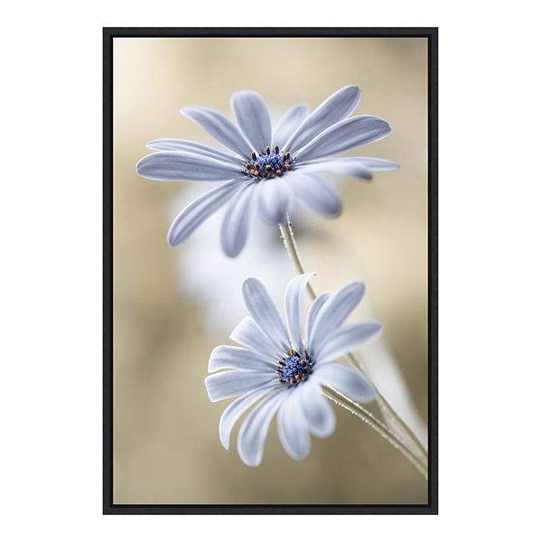 Amanti Art Cape Daisies Wall Art