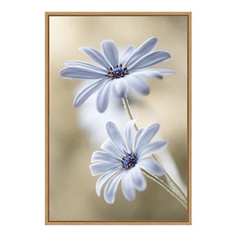 Amanti Art Cape Daisies Wall Art