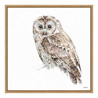 Amanti Art "Forest Friends IX (Owl)" Framed Canvas Print