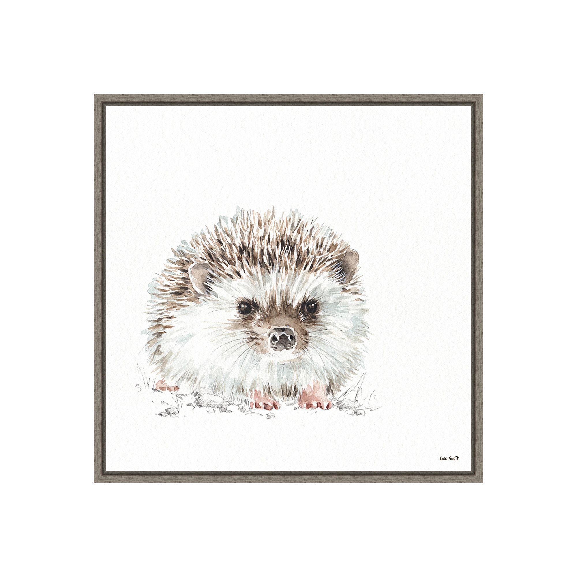 Amanti Art Forest Friends VII (Hedgehog) Framed Canvas Print, Gray