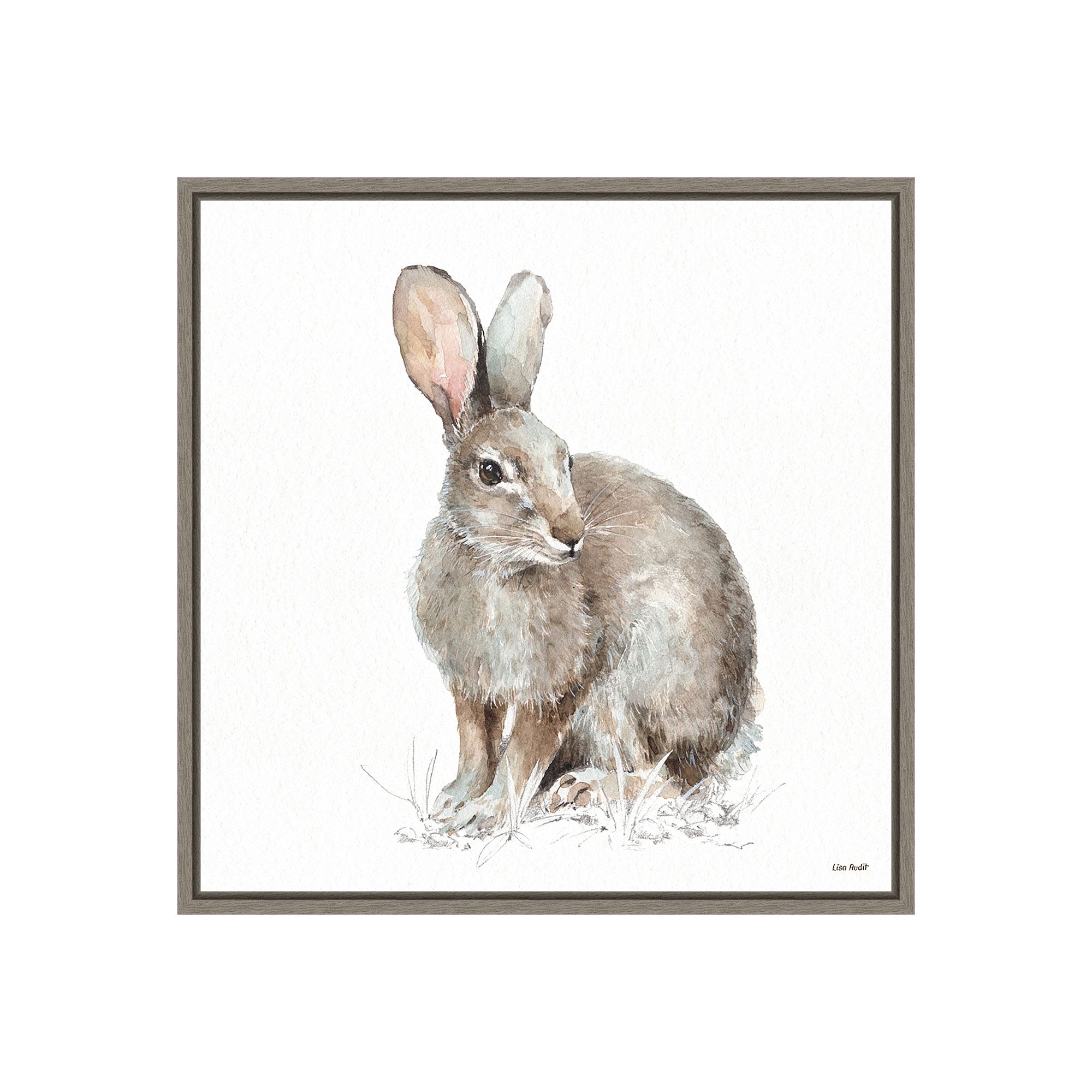 Amanti Art Forest Friends VIII (Rabbit) Framed Canvas Print, Gray