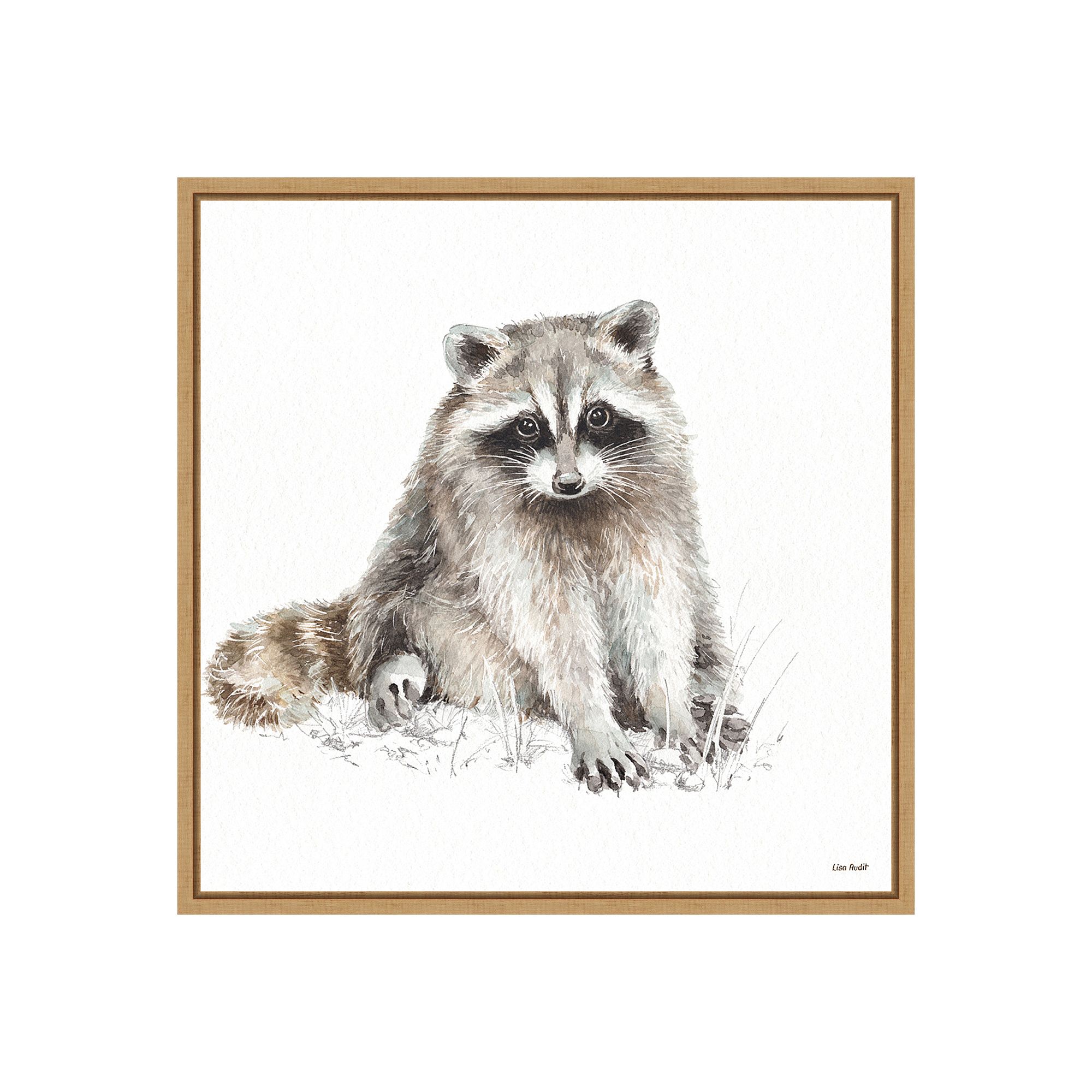 Amanti Art Forest Friends X (Raccoon) Framed Canvas Print, Brown