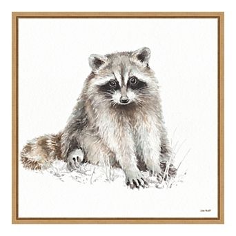 Amanti Art "Forest Friends X (Raccoon)" Framed Canvas Print
