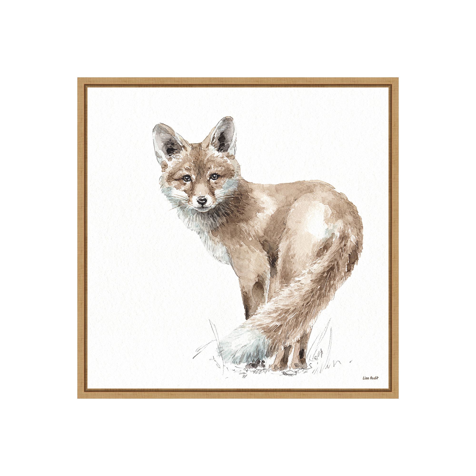Amanti Art Forest Friends XI (Fox) Framed Canvas Print, Brown