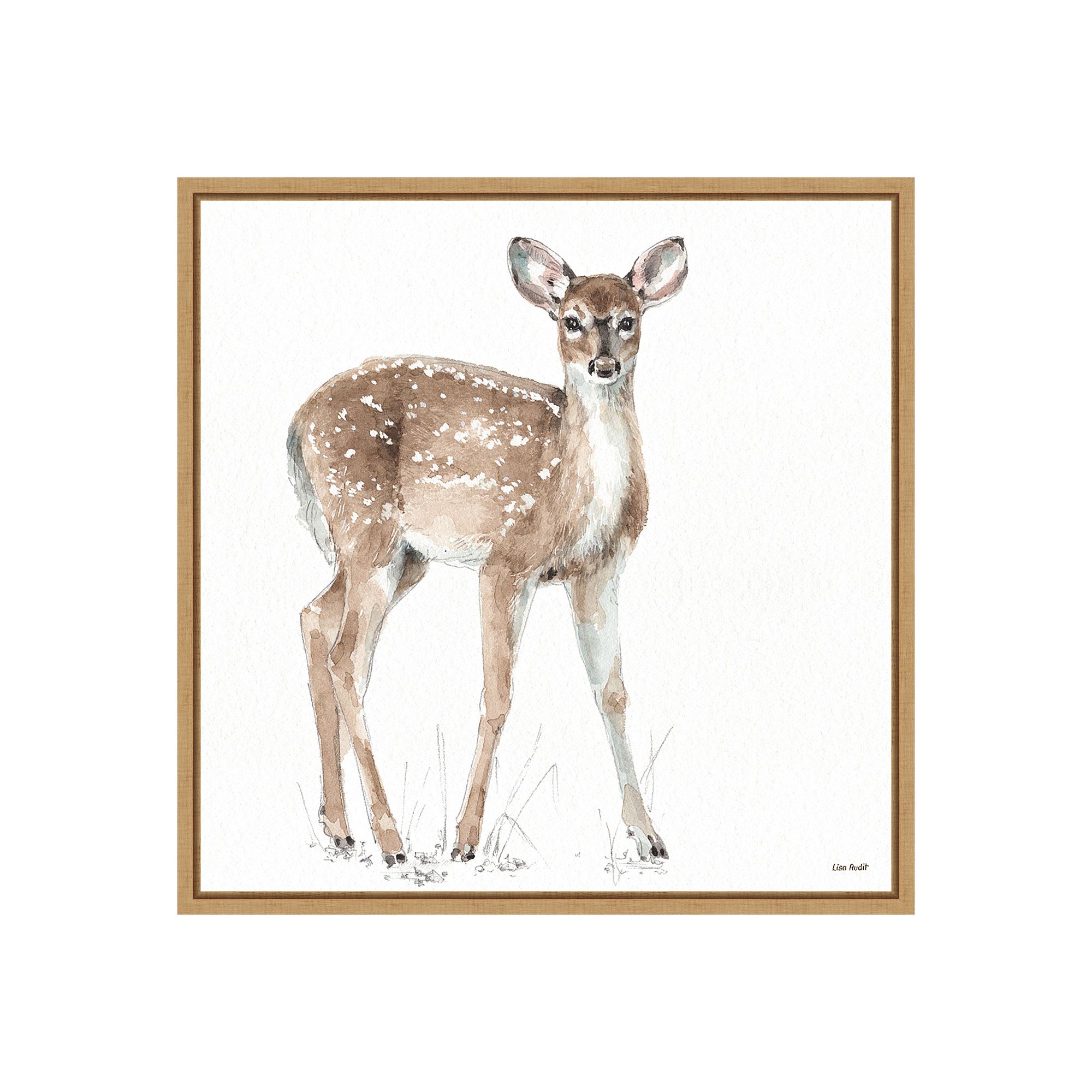 Amanti Art Forest Friends XII (Deer) Framed Canvas Print, Brown