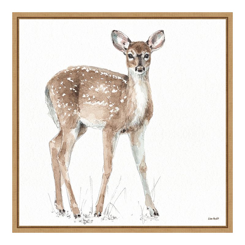 Amanti Art Forest Friends XII (Deer) Framed Canvas Print, Brown, 16X16