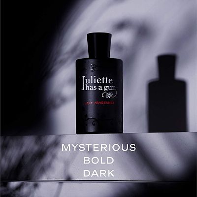 Juliette Has a Gun Lady Vengeance